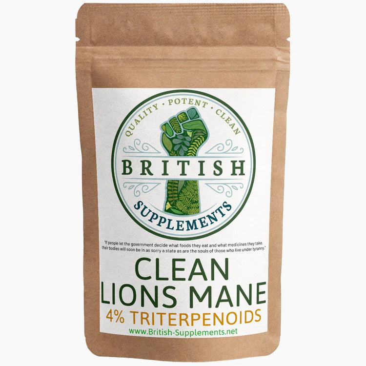 Lions Mane Extract Triterpenoids Version + Uptake Blend