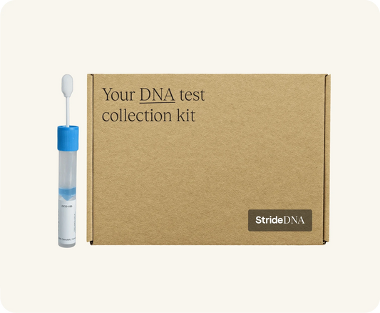 StrideDNA with Personalised Methylation Reports and more