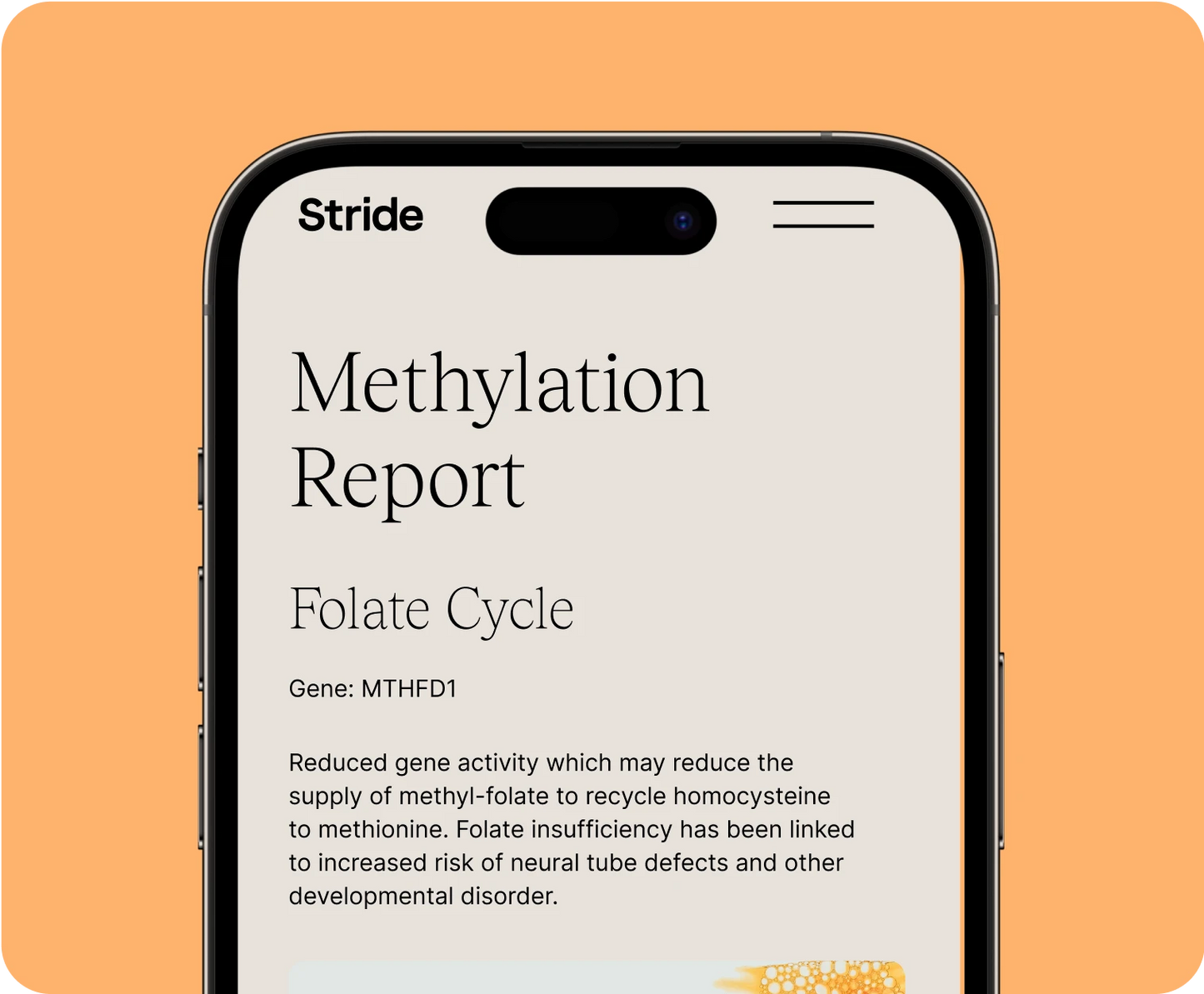 StrideDNA with Personalised Methylation Reports and more
