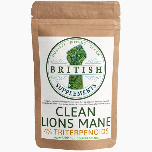 Lions Mane Extract Triterpenoids Version + Uptake Blend